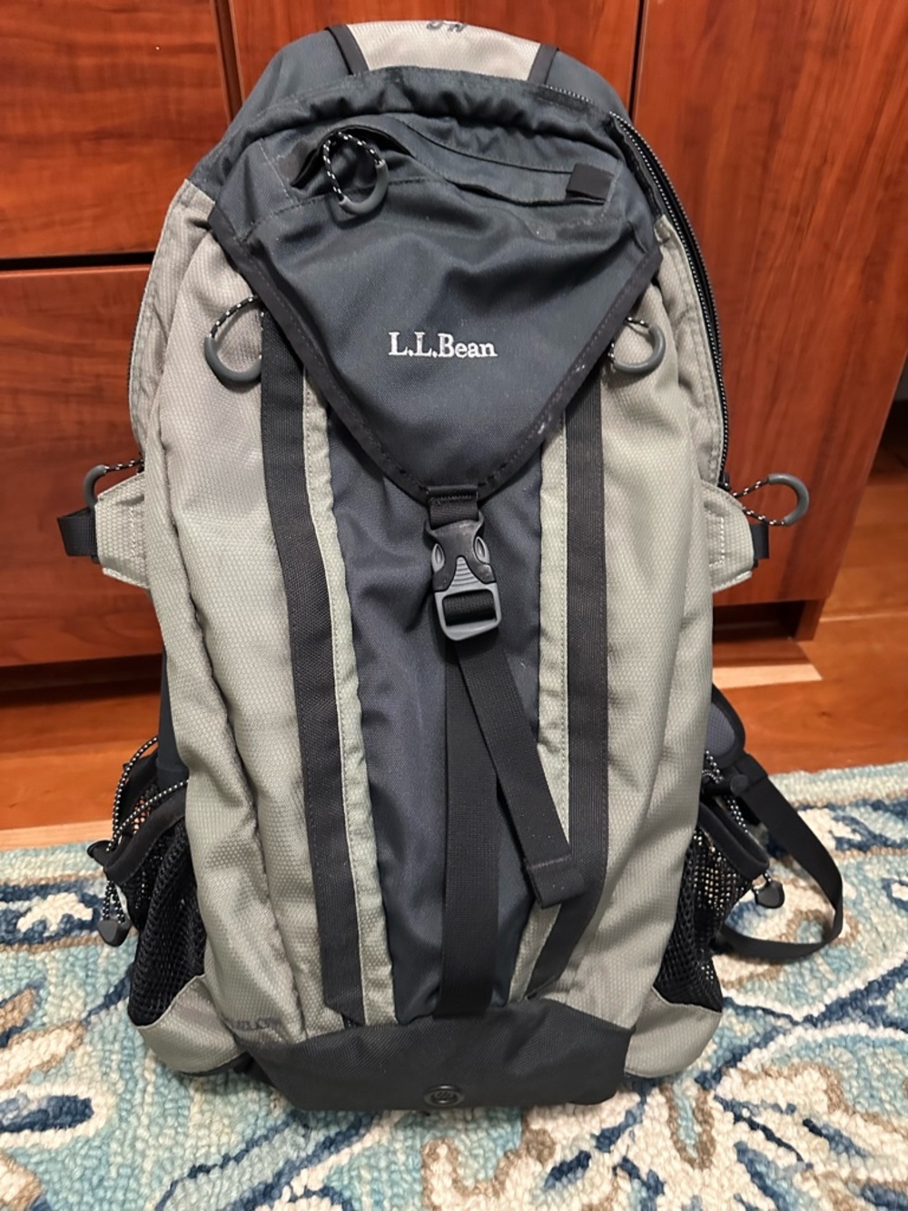 L.L. Bean Bigelow H20 Hiking Backpack EUC